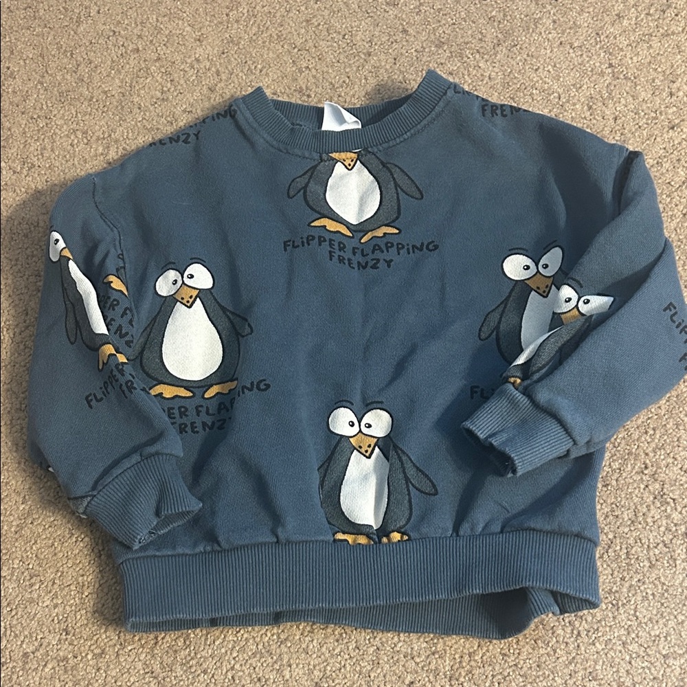 Zara Slate Blue Penguin Graphic Sweatshirt
